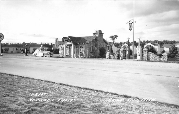 Gould City Michigan Rppc Postcard 1940S Norwood Farms Gas Station (newer photo)